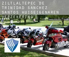 Ziltlaltepec de Trinidad Sanchez Santos  huiseigenaren verzekering