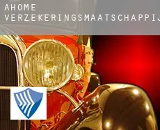 Ahome  verzekeringsmaatschappij