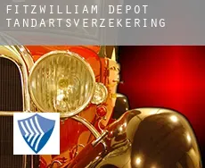Fitzwilliam Depot  tandartsverzekering