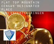Flat Top Mountain  levensverzekeringen