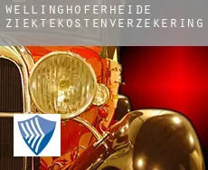 Wellinghoferheide  ziektekostenverzekering