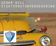 Cedar Hill ziektekostenverzekering