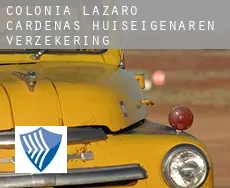 Colonia Lazaro Cárdenas  huiseigenaren verzekering