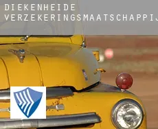 Diekenheide  verzekeringsmaatschappij