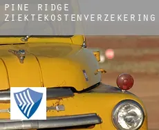 Pine Ridge  ziektekostenverzekering