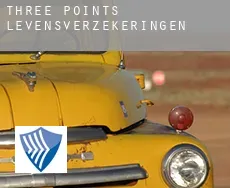 Three Points  levensverzekeringen