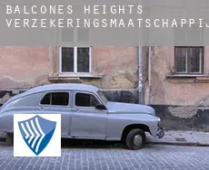 Balcones Heights  verzekeringsmaatschappij