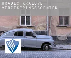 Hradec Králové  verzekeringsagenten