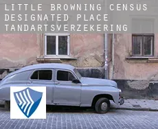 Little Browning  tandartsverzekering
