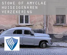 Stowe of Amyclae  huiseigenaren verzekering
