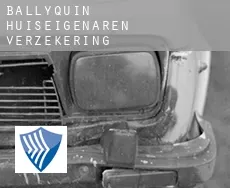 Ballyquin  huiseigenaren verzekering