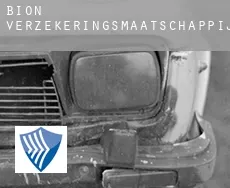 Bion  verzekeringsmaatschappij