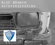 Blue Branch  autoverzekering