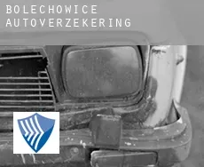 Bolechowice  autoverzekering
