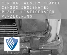 Central Wesley Chapel huiseigenaren verzekering