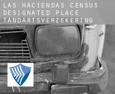 Las Haciendas  tandartsverzekering