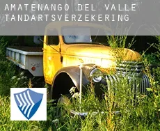 Amatenango del Valle  tandartsverzekering