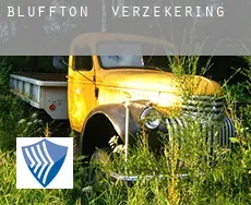 Bluffton  verzekering