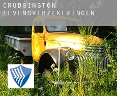 Crudgington  levensverzekeringen