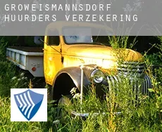 Großweismannsdorf  huurders verzekering