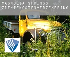 Magnolia Springs ziektekostenverzekering