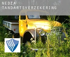 Nędza tandartsverzekering