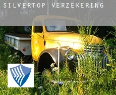 Silvertop  verzekering