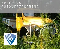 Spalding  autoverzekering