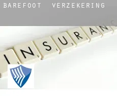 Barefoot  verzekering