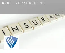 Bruc  verzekering