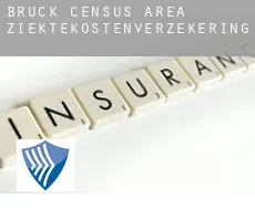Bruck (census area)  ziektekostenverzekering