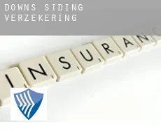 Downs Siding  verzekering