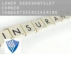 Lower Genegantslet Corner  tandartsverzekering