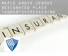 Maple Grove  tandartsverzekering