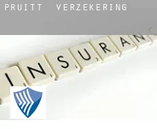 Pruitt  verzekering