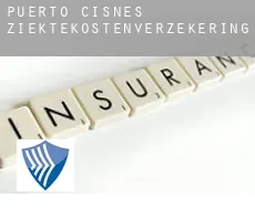 Puerto Cisnes  ziektekostenverzekering