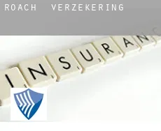Roach  verzekering