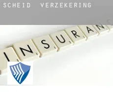 Scheid  verzekering