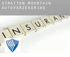 Stratton Mountain autoverzekering