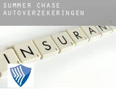 Summer Chase  autoverzekeringen