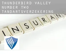 Thunderbird Valley Number Two  tandartsverzekering