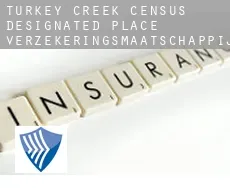Turkey Creek  verzekeringsmaatschappij