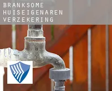 Branksome  huiseigenaren verzekering