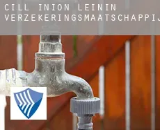 Cill Iníon Léinín  verzekeringsmaatschappij