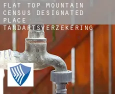 Flat Top Mountain  tandartsverzekering