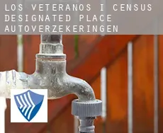 Los Veteranos I  autoverzekeringen