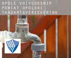 Powiat opolski (Opole Voivodeship)  tandartsverzekering