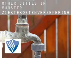 Other cities in Munster  ziektekostenverzekering