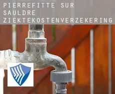 Pierrefitte-sur-Sauldre ziektekostenverzekering