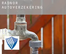 Radnor  autoverzekering